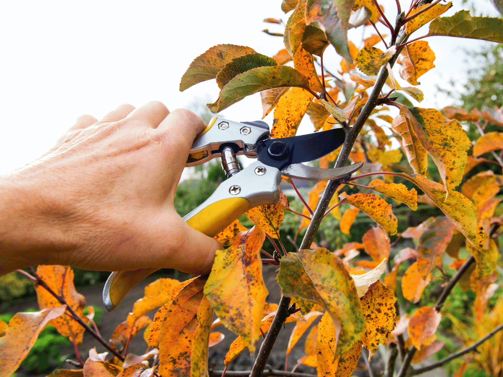 Was Hausbesitzer im Herbst tun sollten